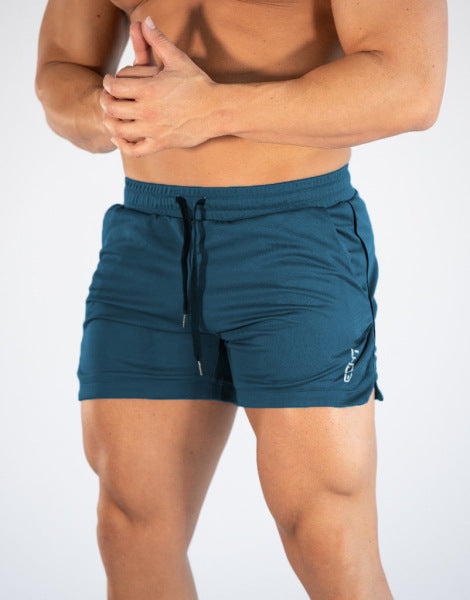 Men's Quick Dry Sports Mesh Shorts