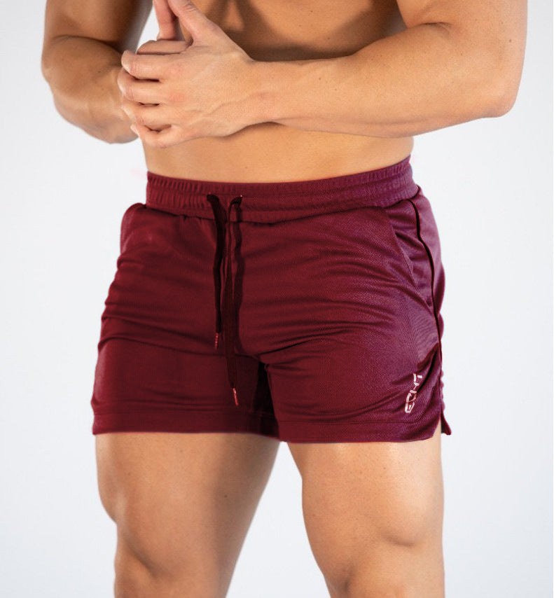 Men's Quick Dry Sports Mesh Shorts