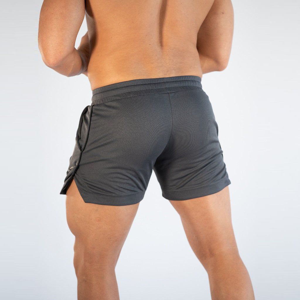 Men's Quick Dry Sports Mesh Shorts