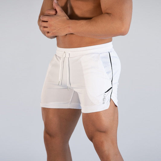 Men's Quick Dry Sports Mesh Shorts