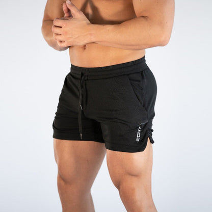 Men's Quick Dry Sports Mesh Shorts