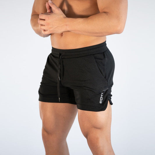 Men's Quick Dry Sports Mesh Shorts